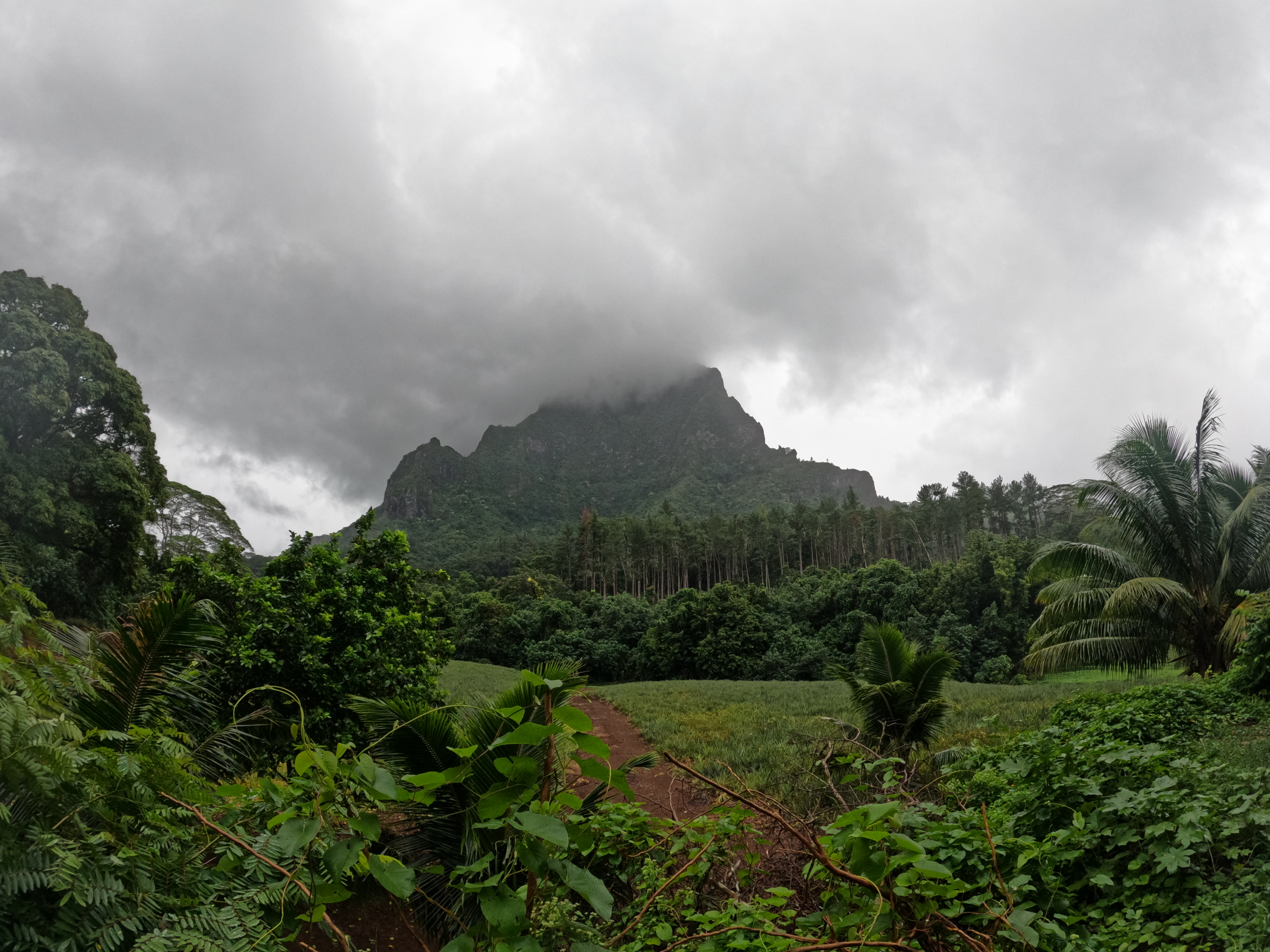 2022 Tahiti Taravao HXP - Day 2 (Arrival in Tahiti!, Narii & Escuela Teach us a Tahitian Dance, Ferry to Mo'orea / Moorea, Hiking, 18 in Small Truck, Va'a Canoes, Crepes)